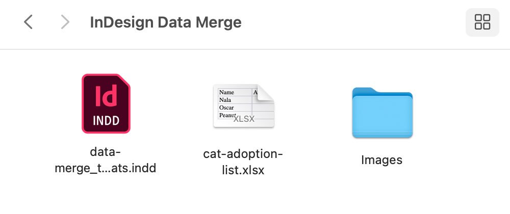 Files for Data Merge