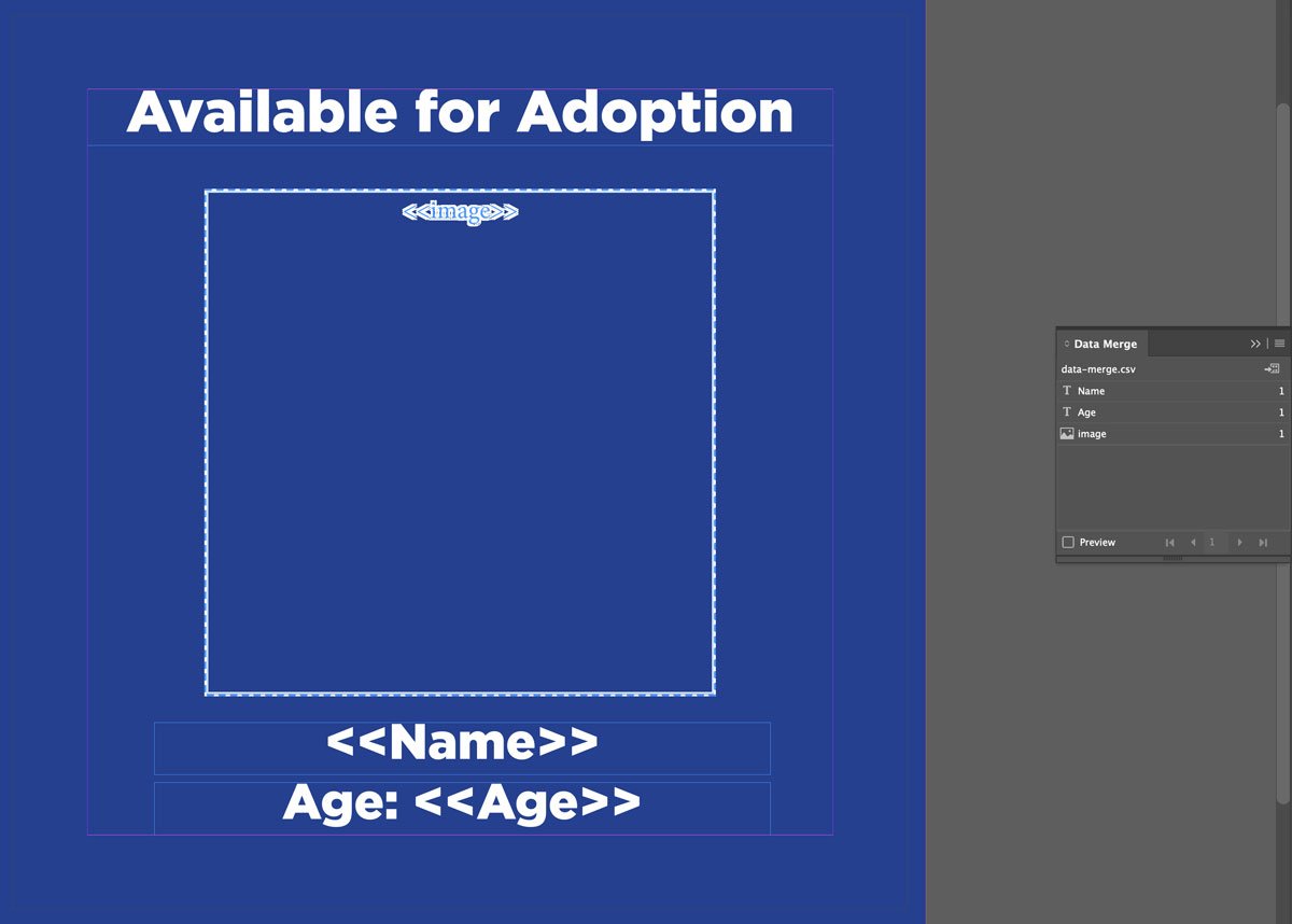 InDesign Data Merge layer association